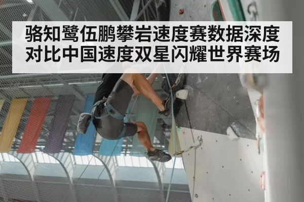 骆知鹭伍鹏攀岩速度赛数据深度对比中国速度双星闪耀世界赛场