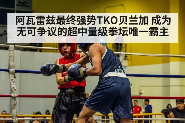 阿瓦雷兹最终强势TKO贝兰加 成为无可争议的超中量级拳坛唯一霸主